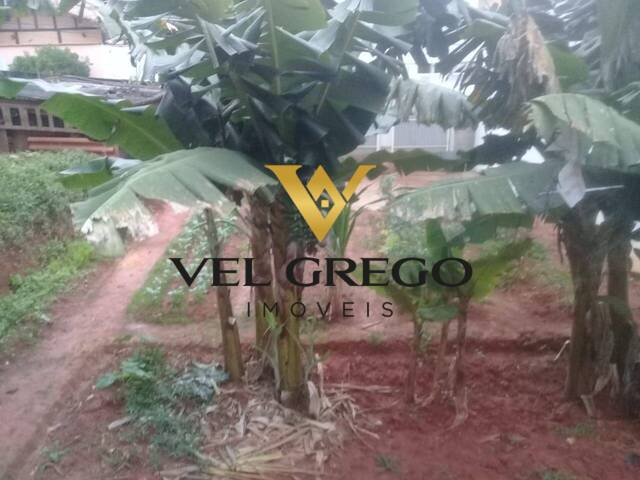 #10 - Terreno para Venda em São Bernardo do Campo - SP - 2